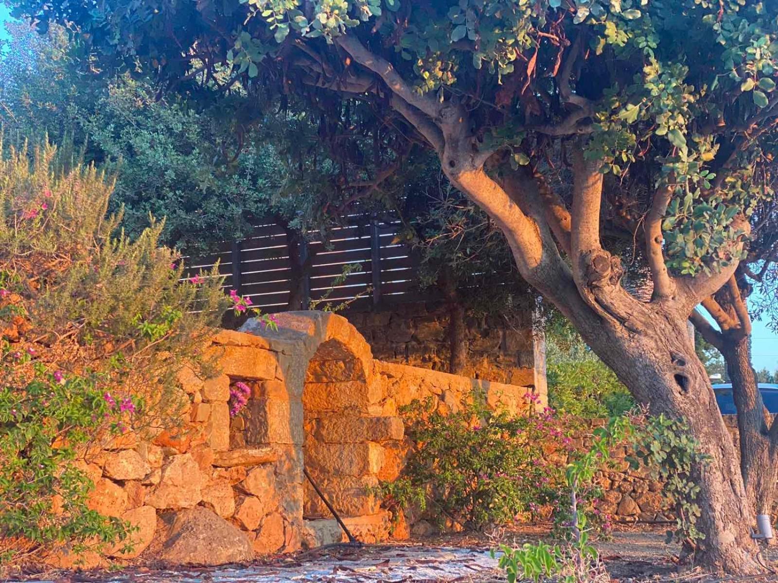 Serenity Garden Ammoudara *