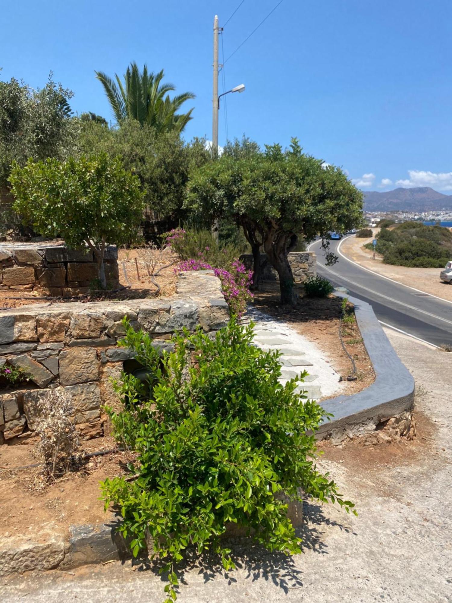 Serenity Garden Ammoudara